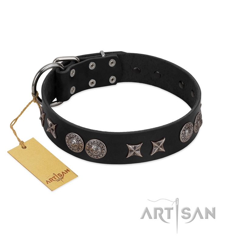 "Scythian Silver" Stylish Handmade FDT Artisan Black Leather Bullmastiff Collar