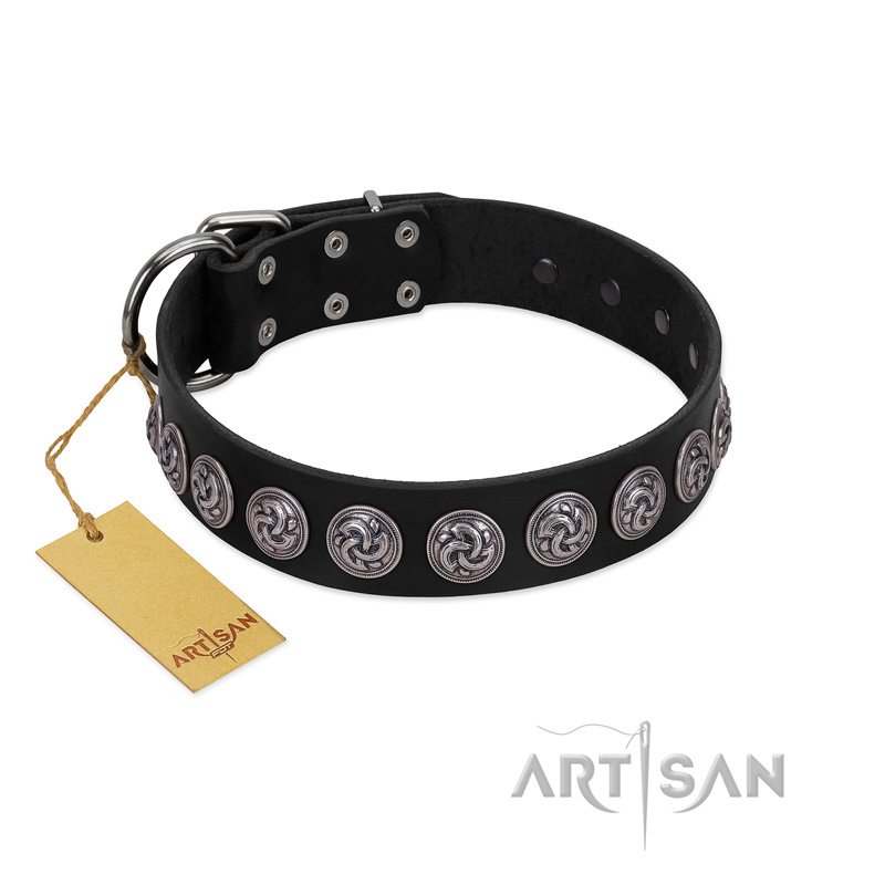 "Black Raven" Handmade FDT Artisan Black Leather Bullmastiff Collar with Silver-Like Adornments
