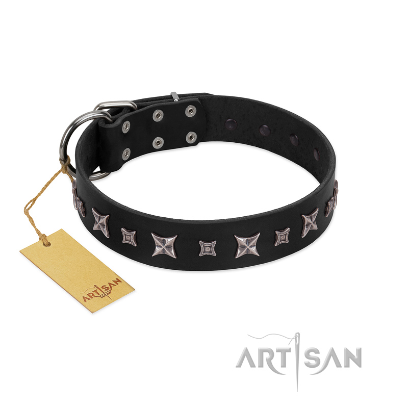 "Polar Lights" Designer FDT Artisan Black Leather Bullmastiff Collar with Silver-Like Studs