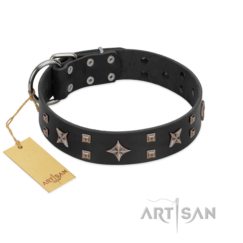 "Star Excitement" Modern FDT Artisan Black Leather Bullmastiff Collar with Studs and Stars