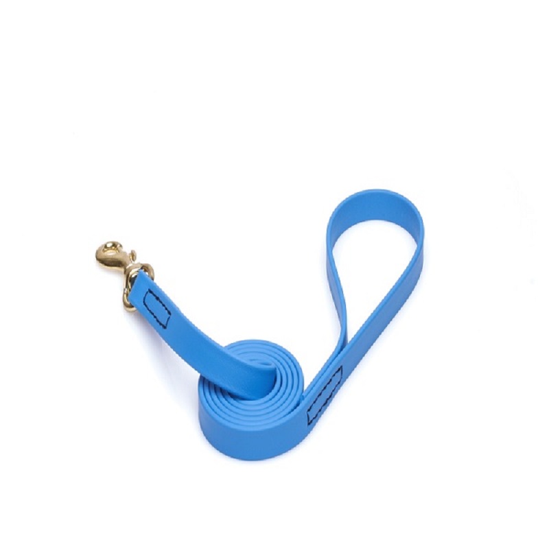 Blue Waterproof Bullmastiff Leash Made of Biothane