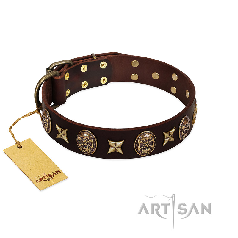 "Captain Hook" FDT Artisan Brown Leather Bullmastiff Collar with Stars and Skulls