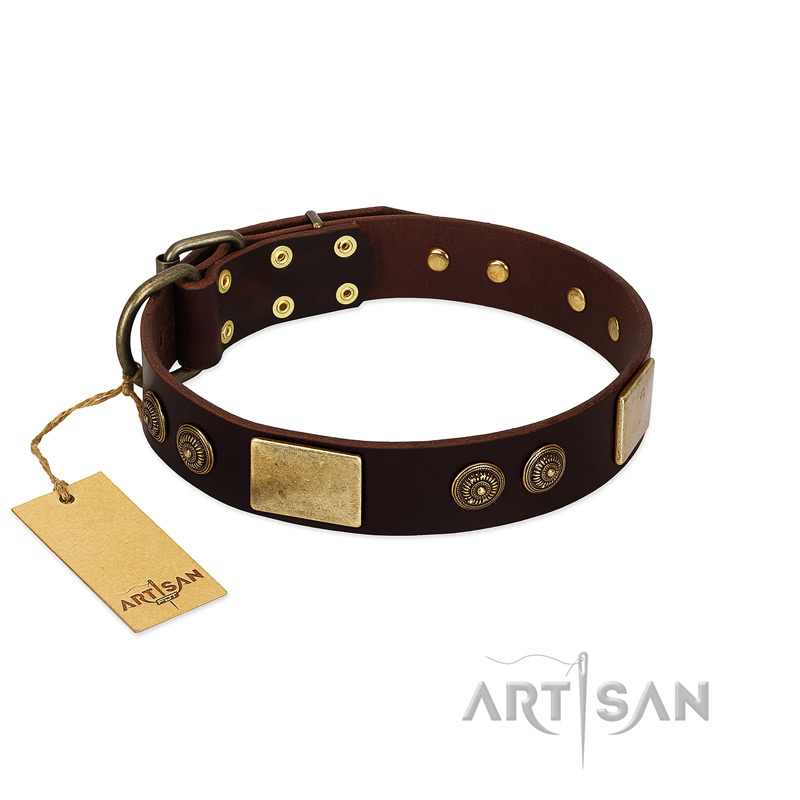"Bow-Wow Effect" FDT Artisan Brown Leather Bullmastiff Collar with Plates and Ornate Studs