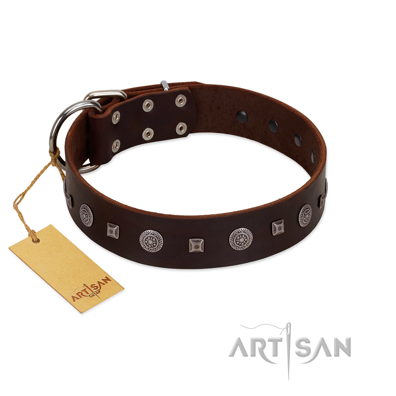 "Pure Sensation" Exclusive FDT Artisan Brown Leather Bullmastiff Collar with Fancy Brooches and Studs