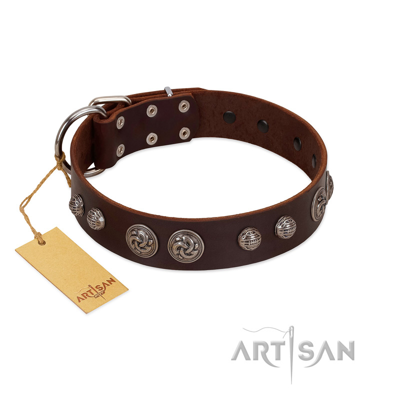 "Choco Brownie" FDT Artisan Brown Leather Bullmastiff Collar Adorned with Silver-Like Conchos