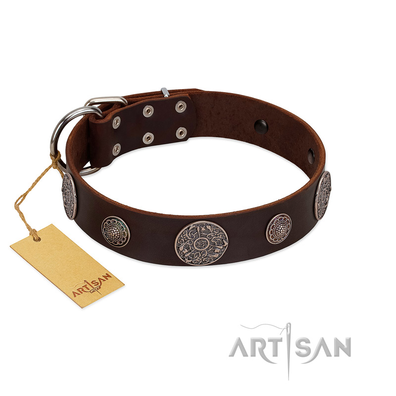 "Flashy Woof" FDT Artisan Brown Leather Bullmastiff Collar with Chrome Plated Brooches