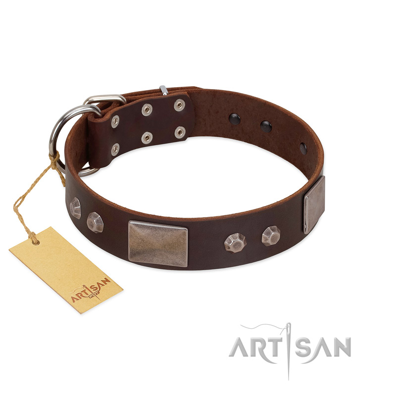 "Stone Stars" Stylish Handmade FDT Artisan Brown Leather Bullmastiff Collar