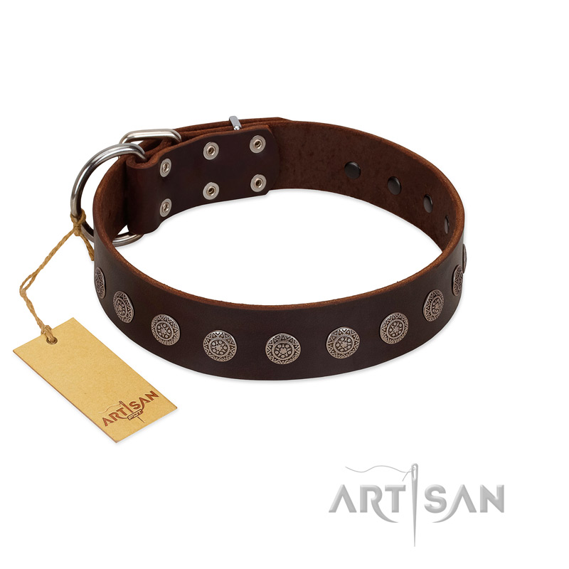 "Starry-Eyed" Best Quality FDT Artisan Brown Designer Leather Bullmastiff Collar with Small Plates