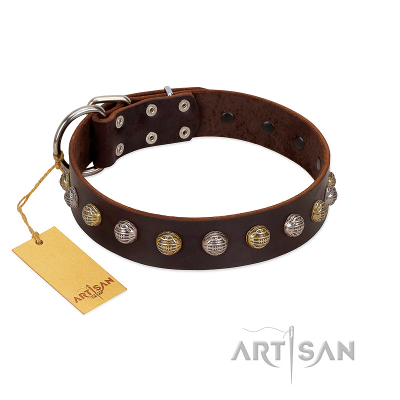 "Gape Buster" FDT Artisan Brown Leather Bullmastiff Collar with One Row of Studs