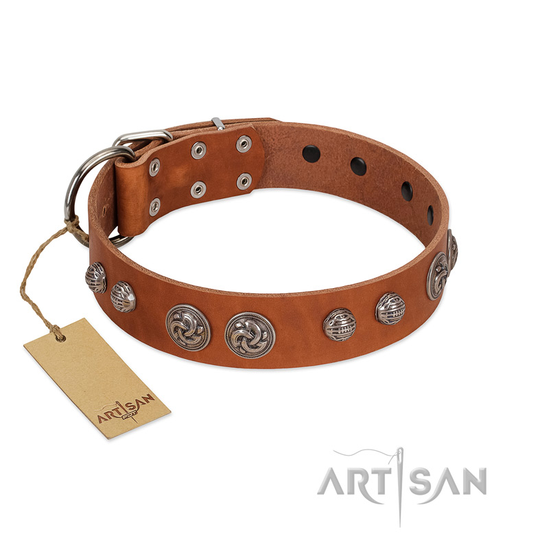 "Era Infinitum" FDT Artisan Tan Leather Bullmastiff Collar Adorned with Chrome-plated Circles