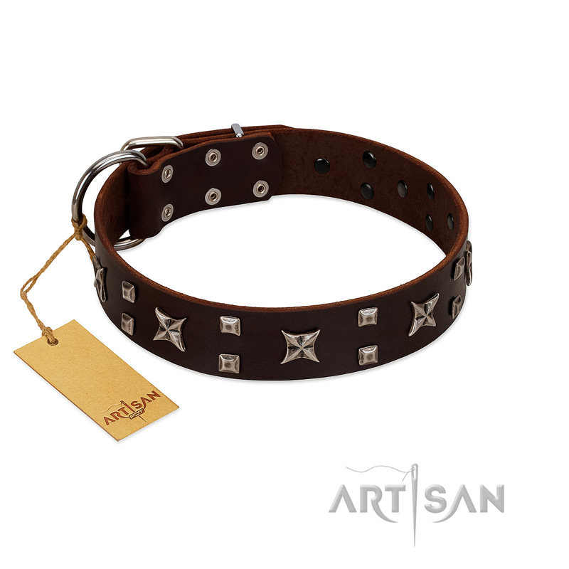 "Bigwig Woof" FDT Artisan Brown Leather Bullmastiff Collar with Chrome Plated Stars and Square Studs
