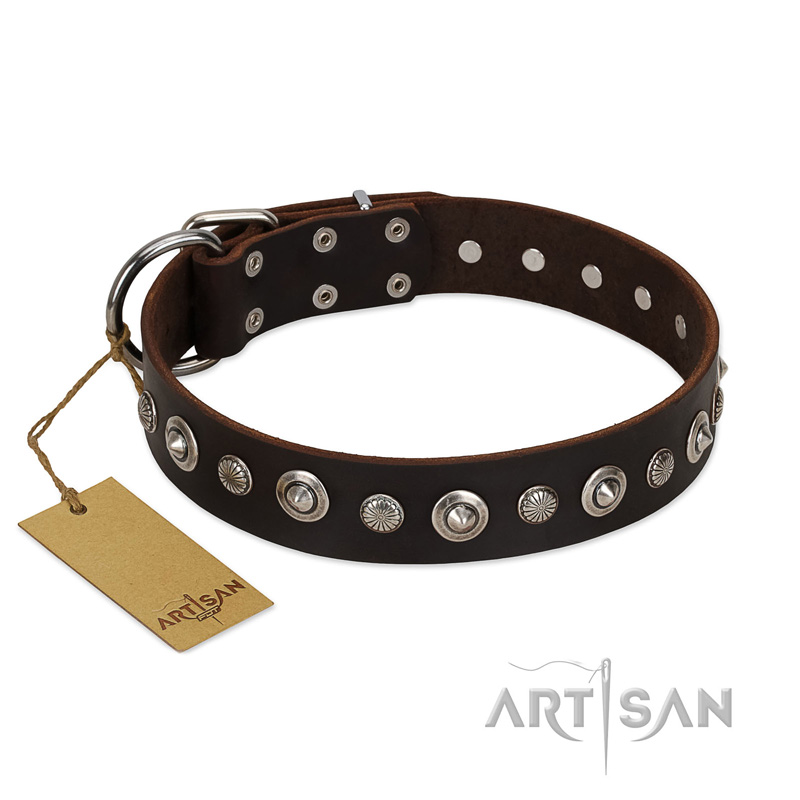 "Gorgeous Shields" FDT Artisan Brown Leather Bullmastiff Collar with Old Silver-like Circles and Small Camomiles