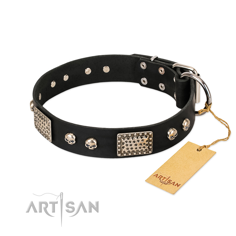 "Pirates Gold" FDT Artisan Black Leather Bullmastiff Collar with Old Silver Look Plates and Skulls