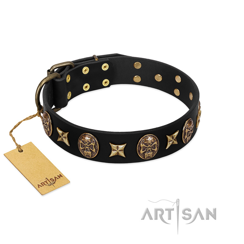 "Starry Saga" FDT Artisan Black Leather Bullmastiff Collar with Stars and Skulls