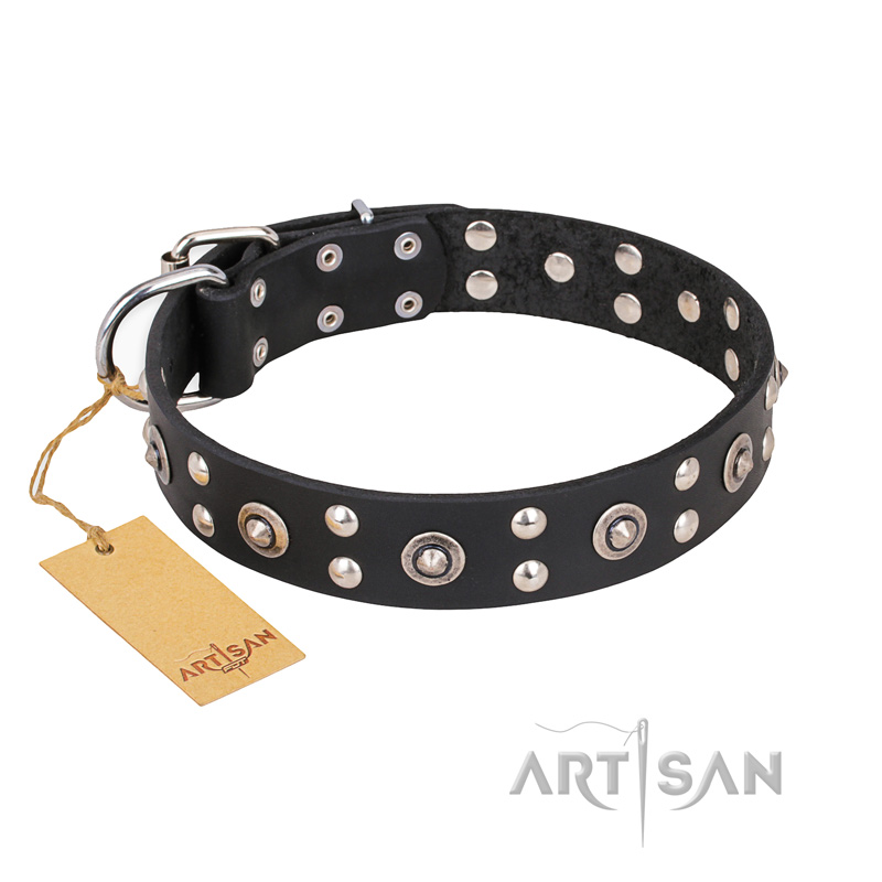 "Refined Essence" FDT Artisan Black Leather Bullmastiff Collar with Silvery Studs