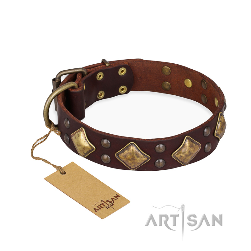 "Golden Square" FDT Artisan Brown Leather Bullmastiff Collar with Large Squares