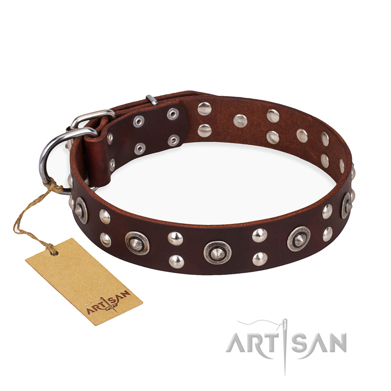 "Pirate Treasure" FDT Artisan Exciting Brown Leather Bullmastiff Collar with Studs
