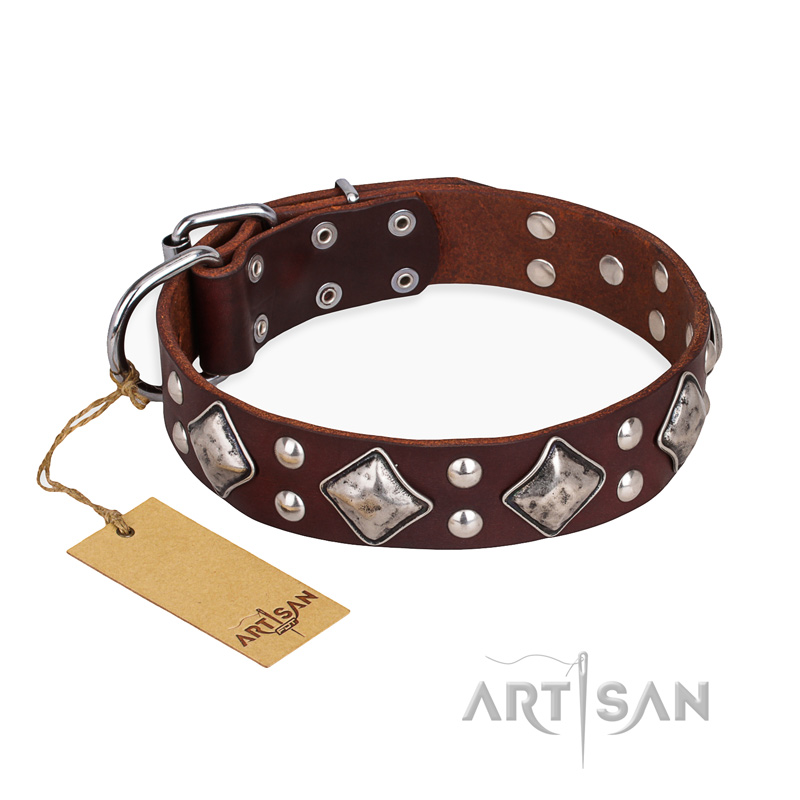 "King of Grace" FDT Artisan Stylish Leather Bullmastiff Collar with Old Silver-Like Plated Decorations
