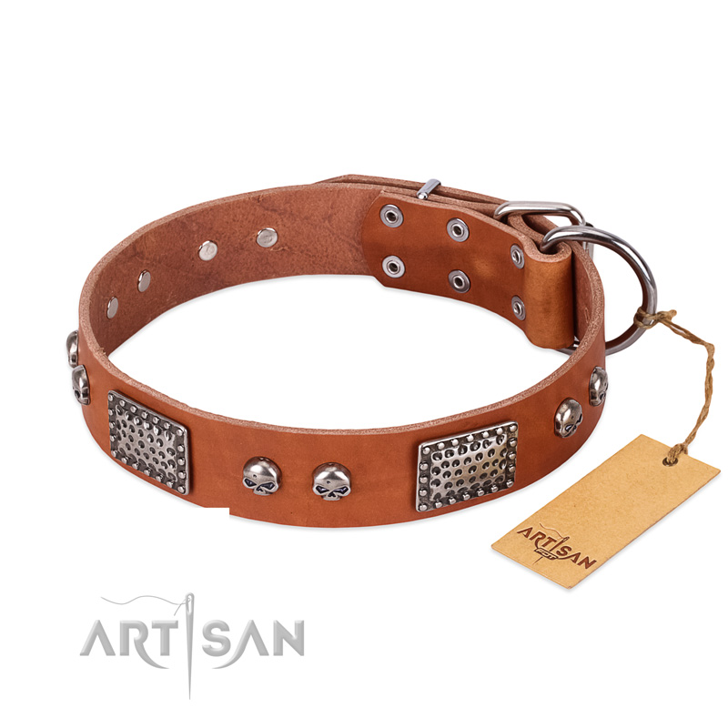 "Sparkling Skull" FDT Artisan Tan Leather Bullmastiff Collar with Old Silver Look Plates and Skulls