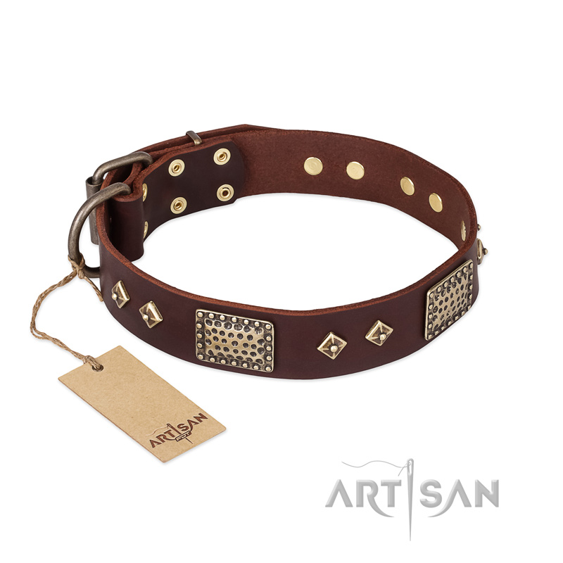 "Loving Owner" FDT Artisan Decorated Leather Bullmastiff Collar with Plates and Studs