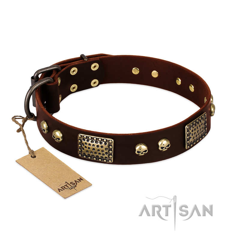 "Magic Amulet" Brown Leather Bullmastiff Collar with Skulls and Plates