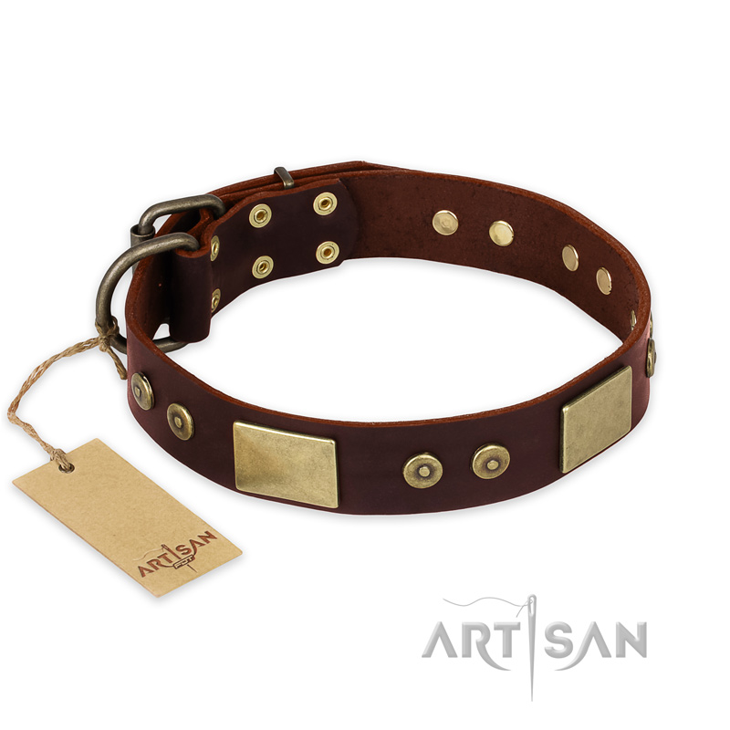 "Shining Armour" FDT Artisan Brown Leather Bullmastiff Collar with Decorations