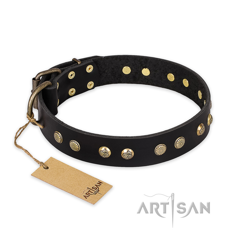 "Black Elegance" FDT Artisan Leather Bullmastiff Collar with Round Studs