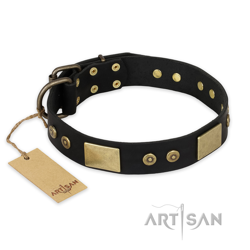 "Spanish night" FDT Artisan Fashionable Leather Walking Bullmastiff Collar