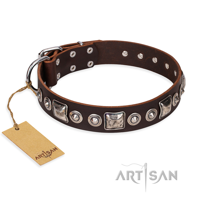"Pierian spring" FDT Artisan Brown Leather Bullmastiff Collar with Silvery Decorations