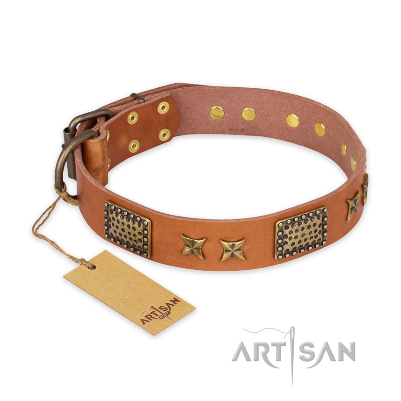 "Cosmic Traveller" FDT Artisan Adorned Leather Bullmastiff Collar with Old Bronze-Plated Stars and Plates
