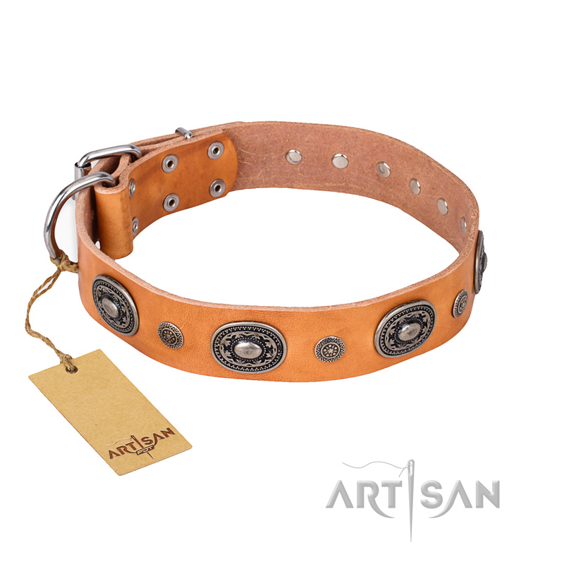 "Twinkle Twinkle" FDT Artisan Incredible Studded Tan Leather Bullmastiff Collar