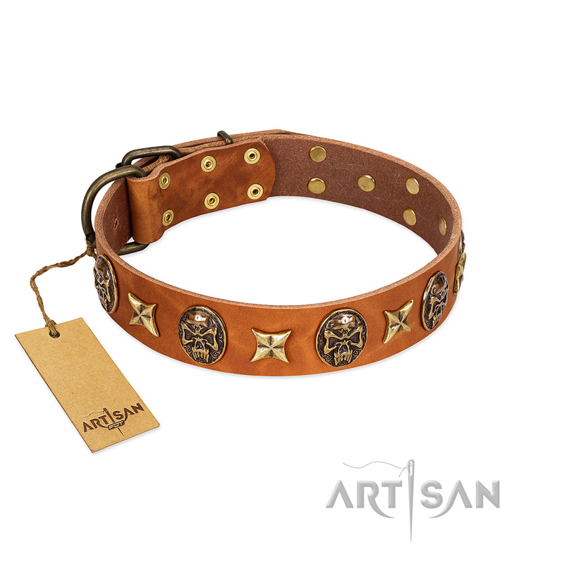 "Rockin' Doggie" FDT Artisan Tan Leather Bullmastiff Collar Adorned with Stars and Skulls