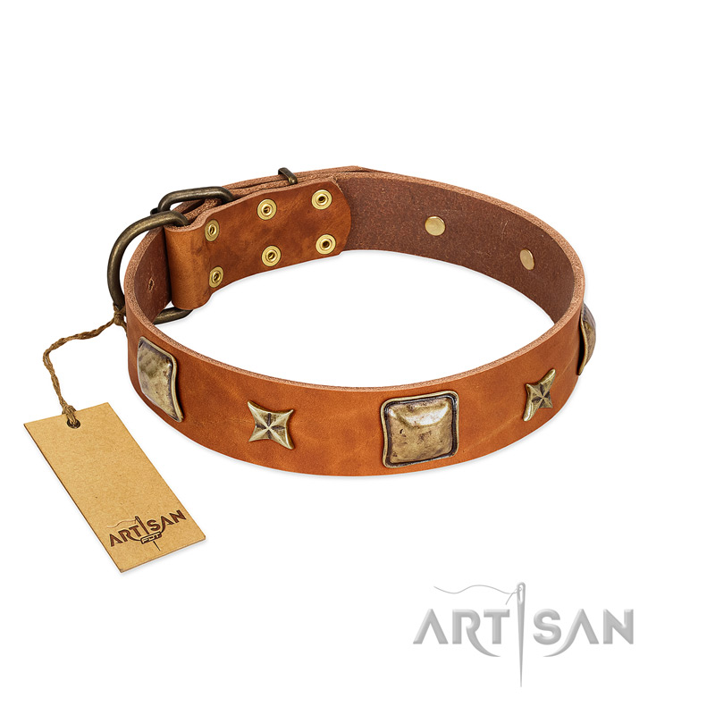 "Celtic Tunes" FDT Artisan Tan Leather Bullmastiff Collar Adorned with Stars and Squares