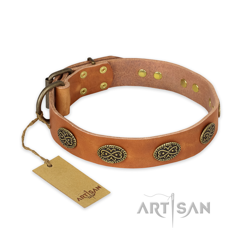 "Magic Amulet" FDT Artisan Tan Leather Bullmastiff Collar with Oval Studs
