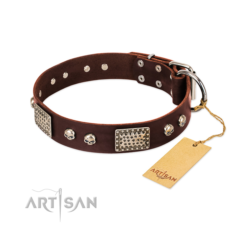 "Pirate Skull" FDT Artisan Brown Leather Bullmastiff Collar with Old Silver Look Plates and Skulls
