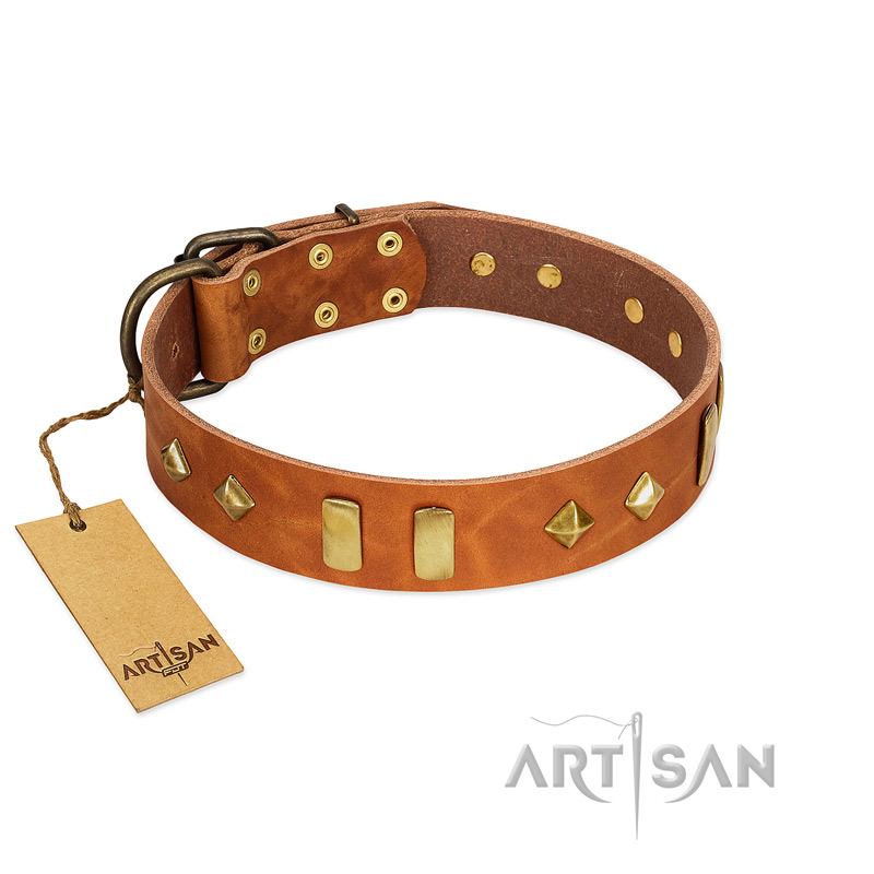 "Woofy Dawn" FDT Artisan Tan Leather Bullmastiff Collar with Plates and Rhombs