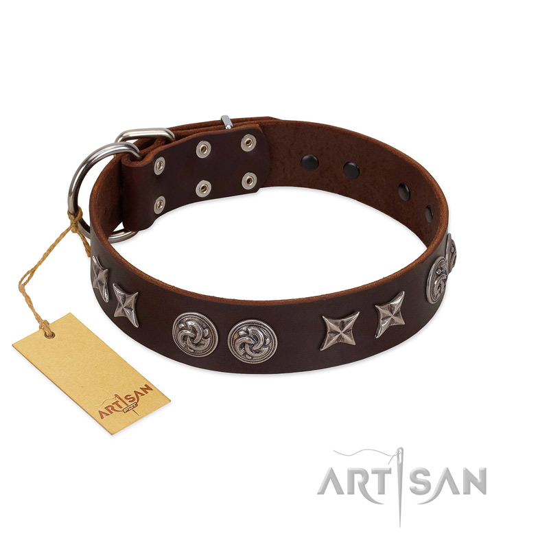 "Silver Sunset" Designer Handmade FDT Artisan Brown Leather Bullmastiff Collar