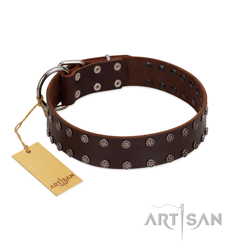 "Star Party" Handmade FDT Artisan Brown Leather Bullmastiff Collar with Silver-Like Studs
