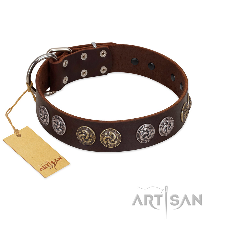 "Treasure Hunter" FDT Artisan Brown Leather Bullmastiff Collar with Old-Bronze-like and Silvery Medallions