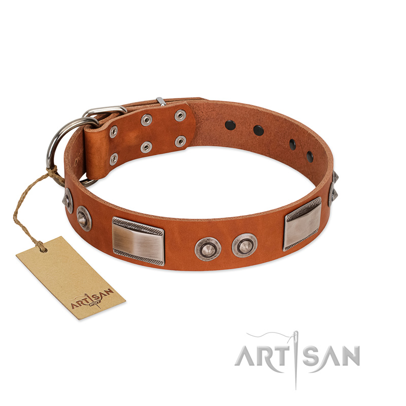 "Pawsy Glossy" FDT Artisan Exclusive Tan Leather Bullmastiff Collar 1 1/2 inch (40 mm) wide