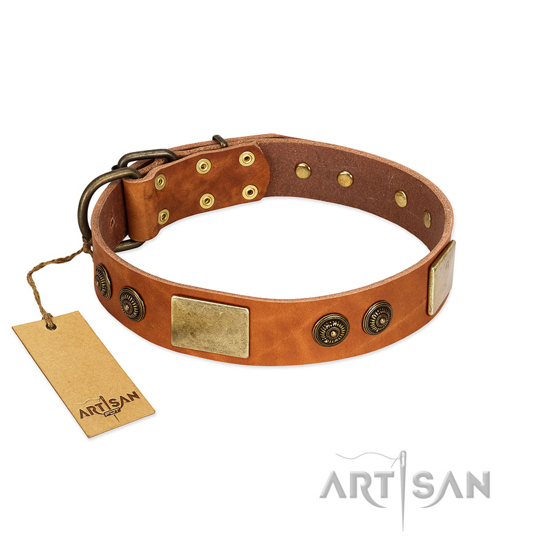 "Bronze Century" FDT Artisan Tan Leather Bullmastiff Collar with Plates and Brooches with Cool Ornament