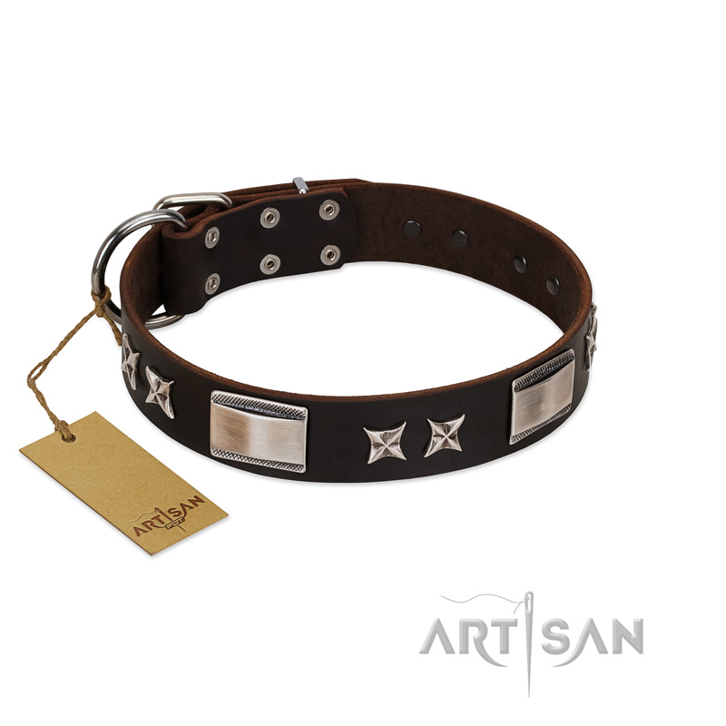 "Satin Beauts" FDT Artisan Brown Leather Bullmastiff Collar with Stars and Plates
