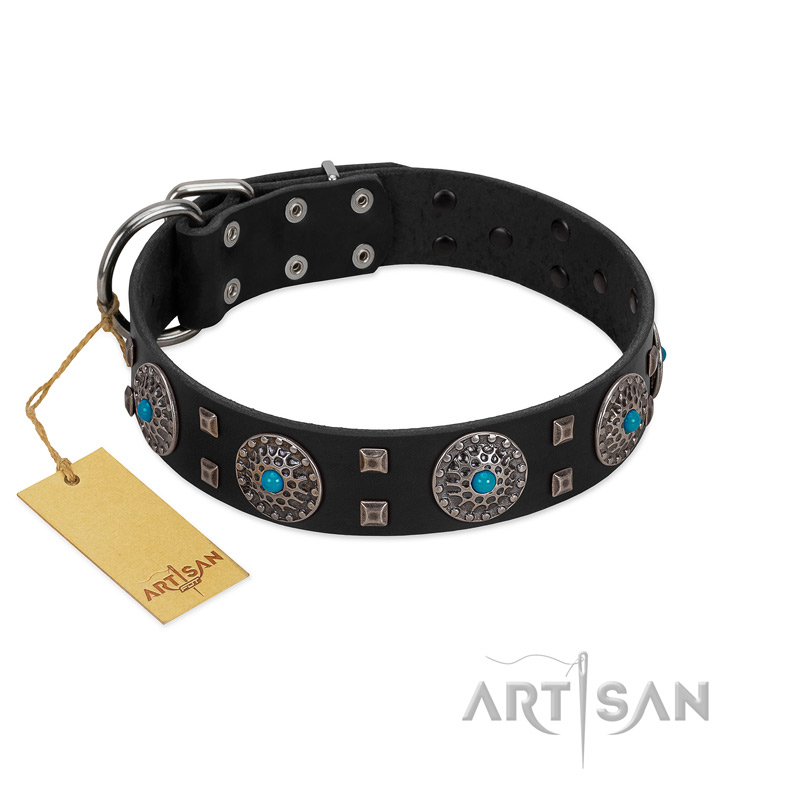 "Boundless Blue" FDT Artisan Black Leather Bullmastiff Collar with Chrome Plated Brooches and Square Studs