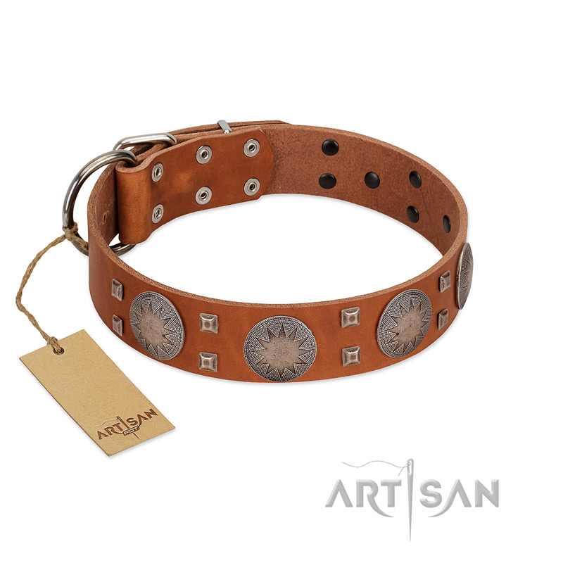 "Sun Rise Noon" FDT Artisan Tan Leather Bullmastiff Collar with Unique Design