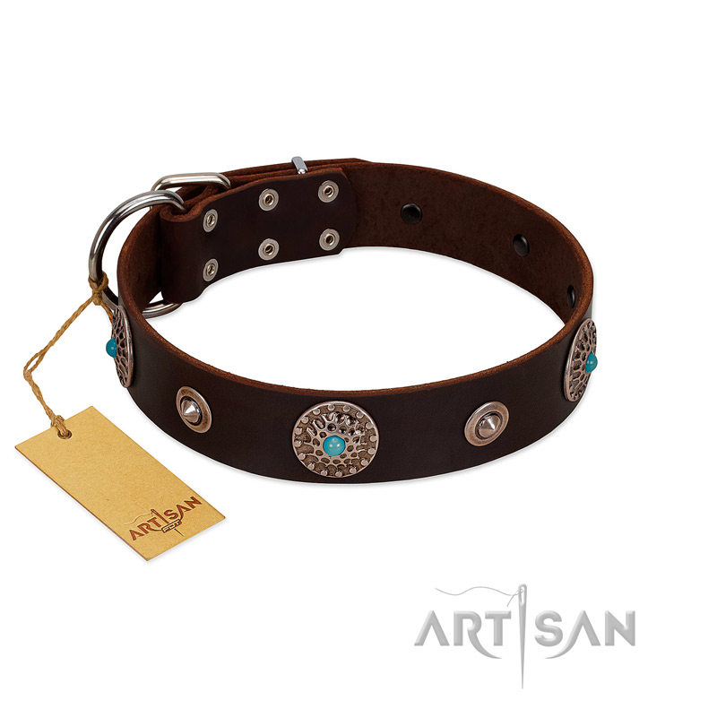 "Magic Stones" FDT Artisan Brown Leather Bullmastiff Collar with Chrome Plated Brooches and Studs