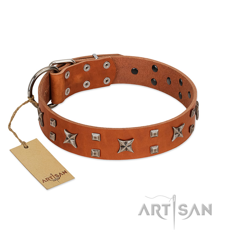 "Faraway Galaxy" FDT Artisan Tan Leather Bullmastiff Collar Adorned with Stars and Squares
