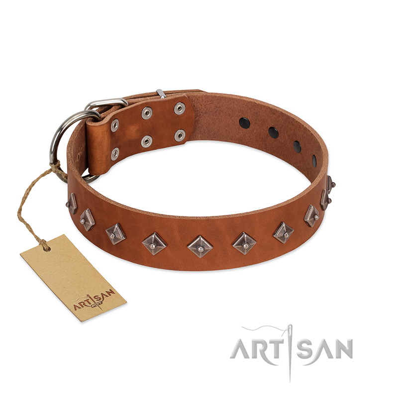 "Broadway" Handmade FDT Artisan Tan Leather Bullmastiff Collar with Dotted Pyramids
