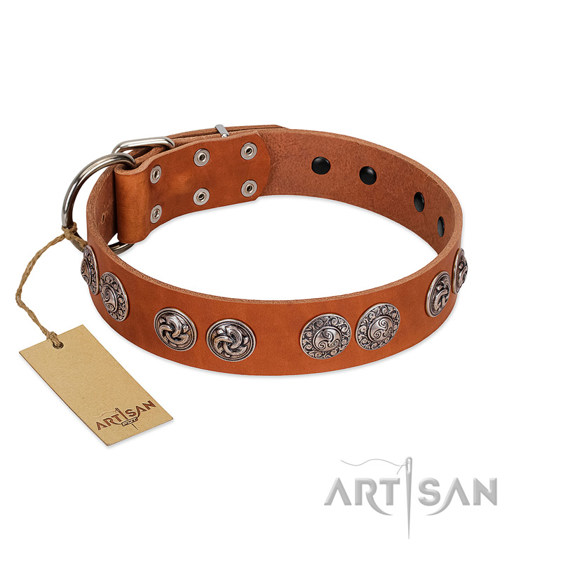 "Woofy Majesty" FDT Artisan Tan Leather Bullmastiff Collar with Round Silver-like Plates