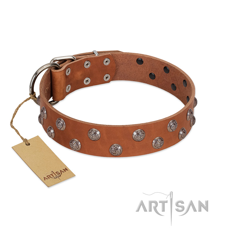 "Waltz of the Flowers" Handmade FDT Artisan Tan Leather Bullmastiff Collar with Chrome-plated Engraved Studs