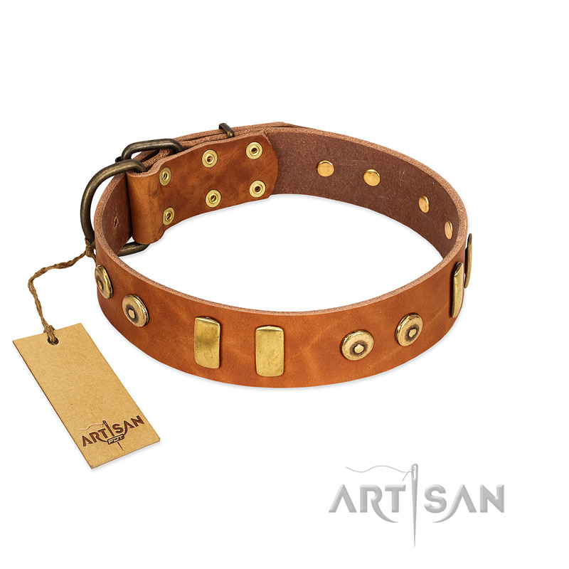 "Egyptian Script" FDT Artisan Tan Leather Bullmastiff Collar with Plates and Small Studs